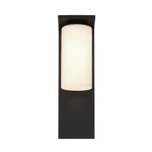 Colonne 1 Light 20" Outdoor Wall Light