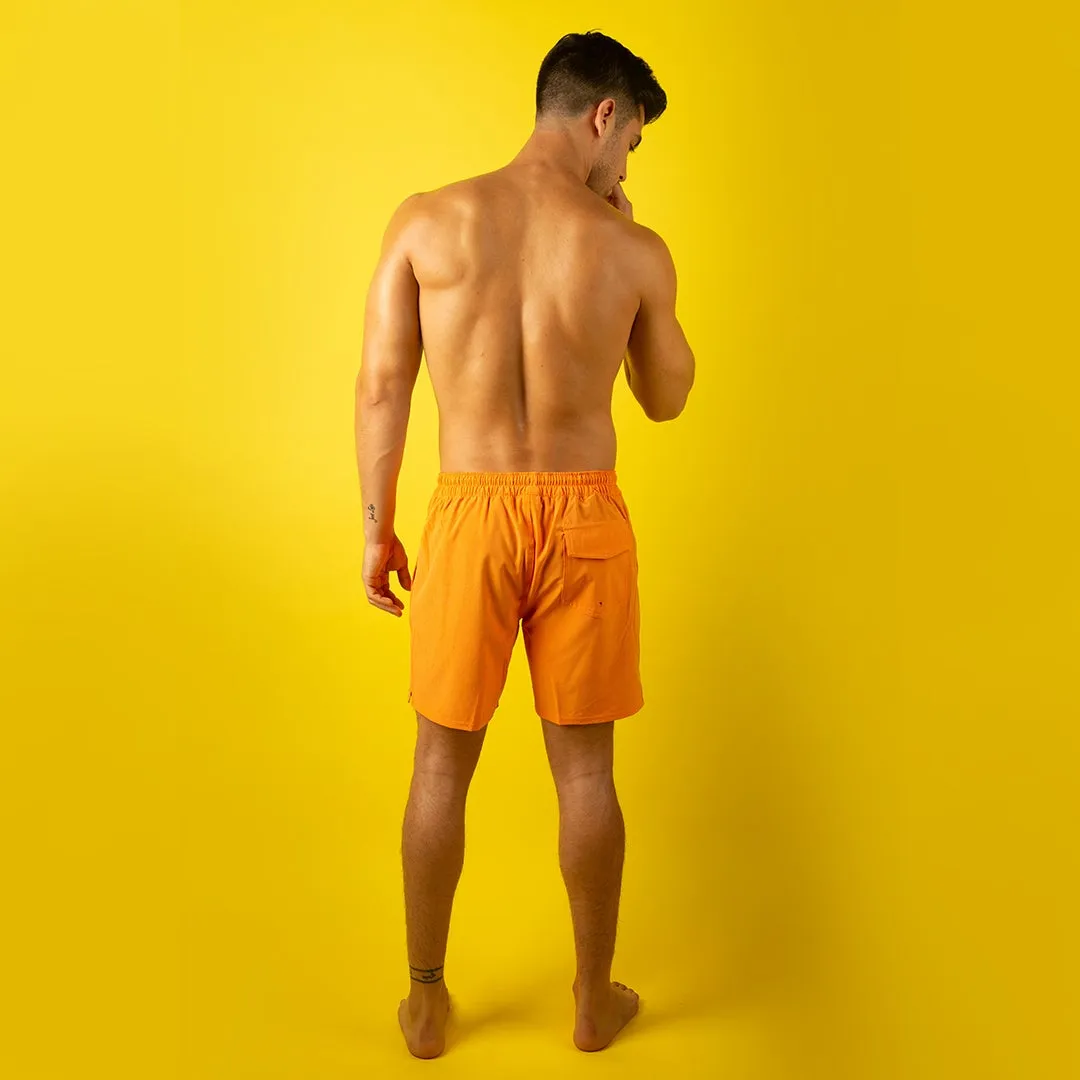 Colors On Elastic Volley Shorts