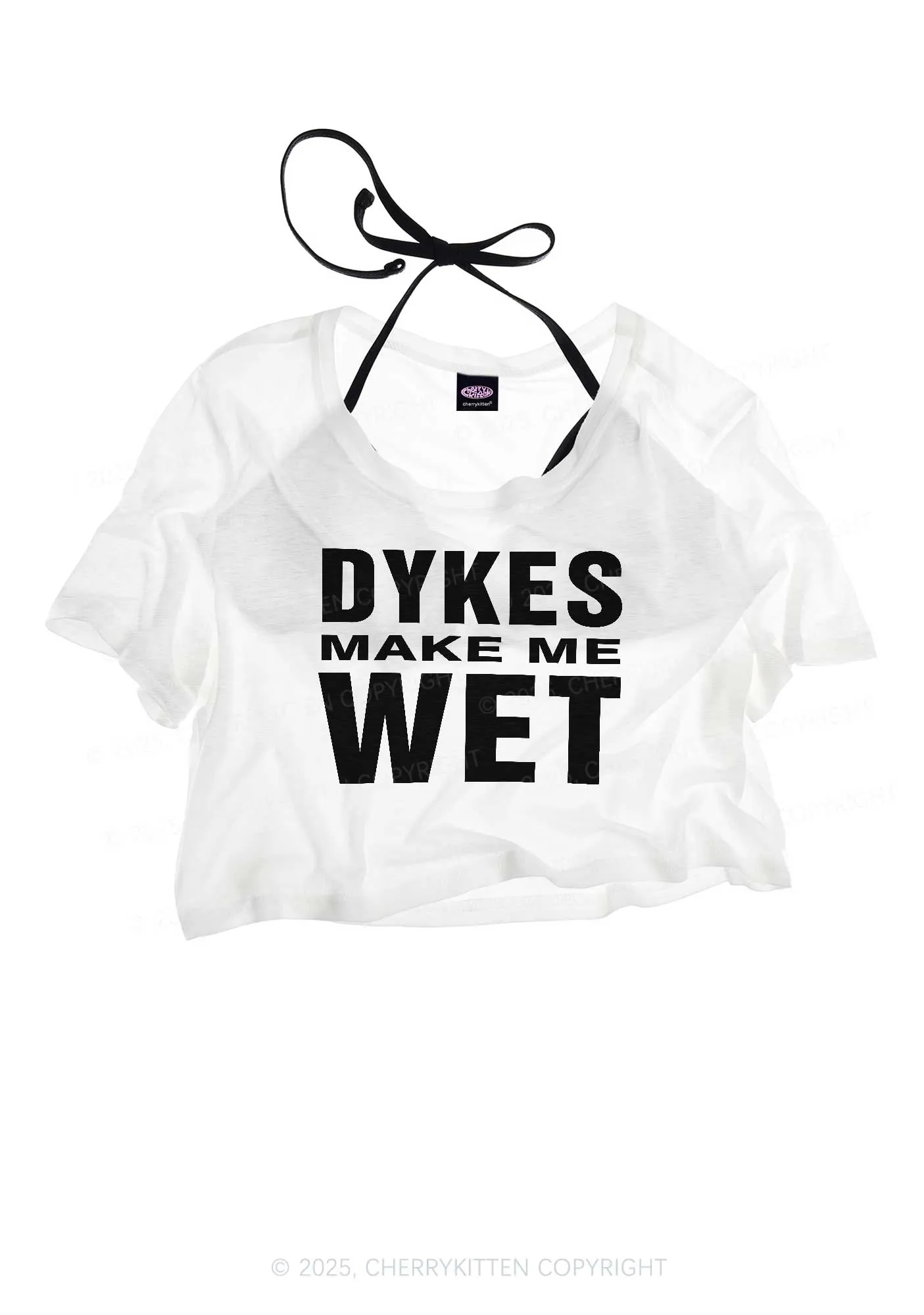 Dykes Make Me Wet Pride Y2K Sheer Crop Tee Cherrykitten