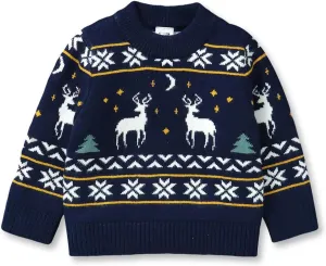 Infant Toddler Baby Girl Oversized Sweater Long Sleeve Sweaters Fall Winter Tops Clothes