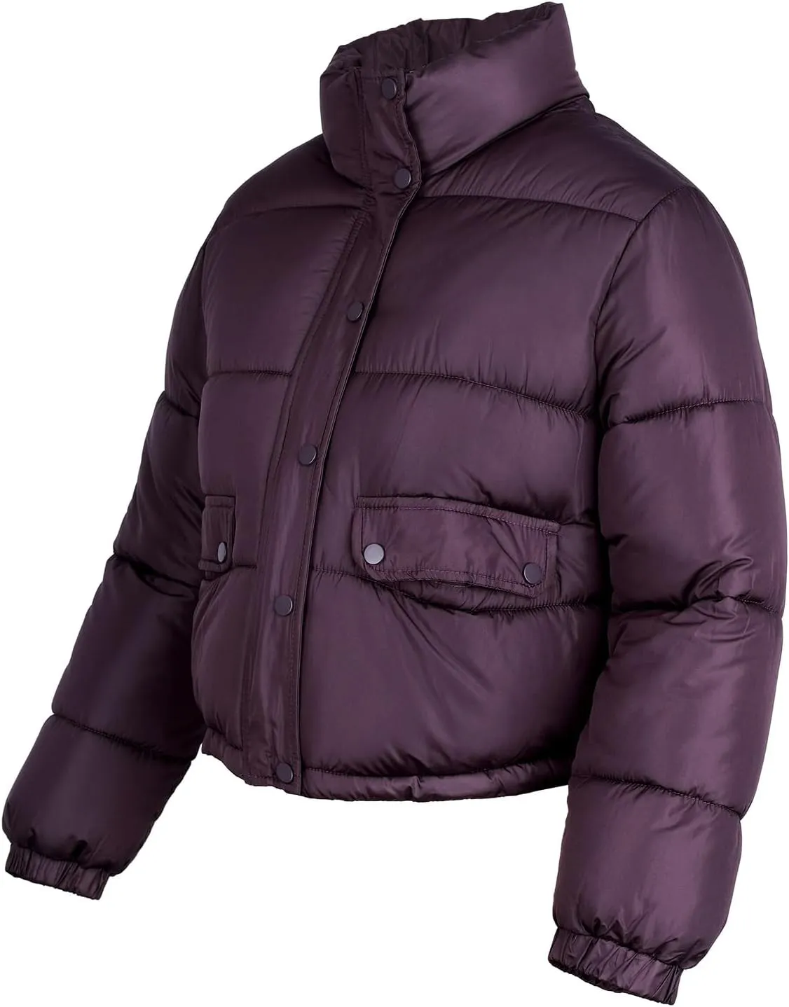 Women's Winter Cropped Puffer Jacket Coat Short Warm Quilted Fashion Jacket